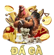 Hỗ trợ qua email