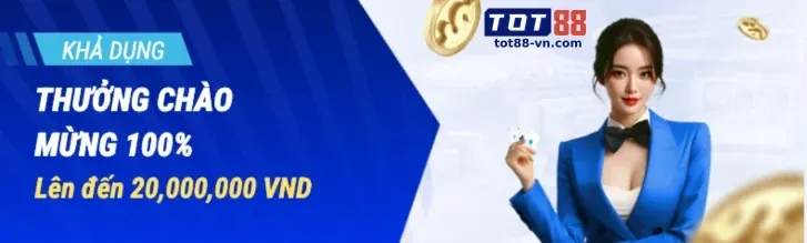 Hình ảnh chính sách quyền riêng tư của tai sumvip